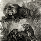 Illustration for article titled How Europeans Imagined Exotic Animals Centuries Ago, Based on Hearsay